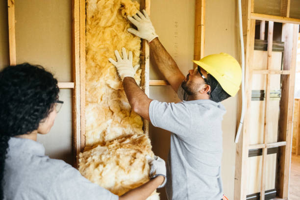 Best Attic Insulation Installation  in Andrews, NC