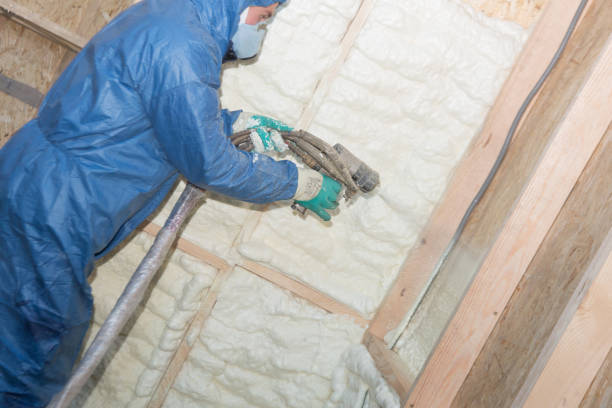 Best Blown-In Insulation  in Andrews, NC